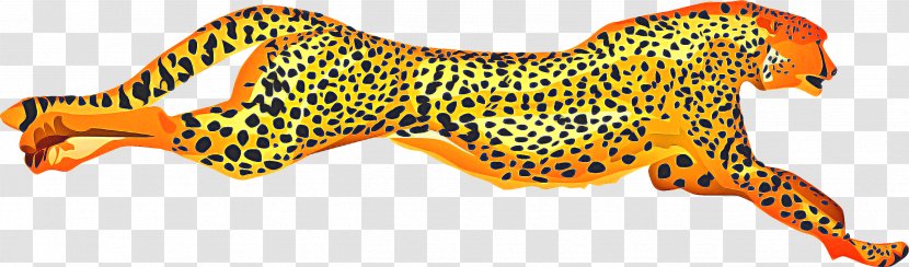 Orange Background - Leopard - Yellow Transparent PNG