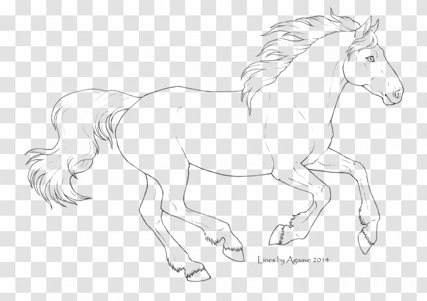 Line Art Horse Pony Drawing - Mane - Lineart Transparent PNG