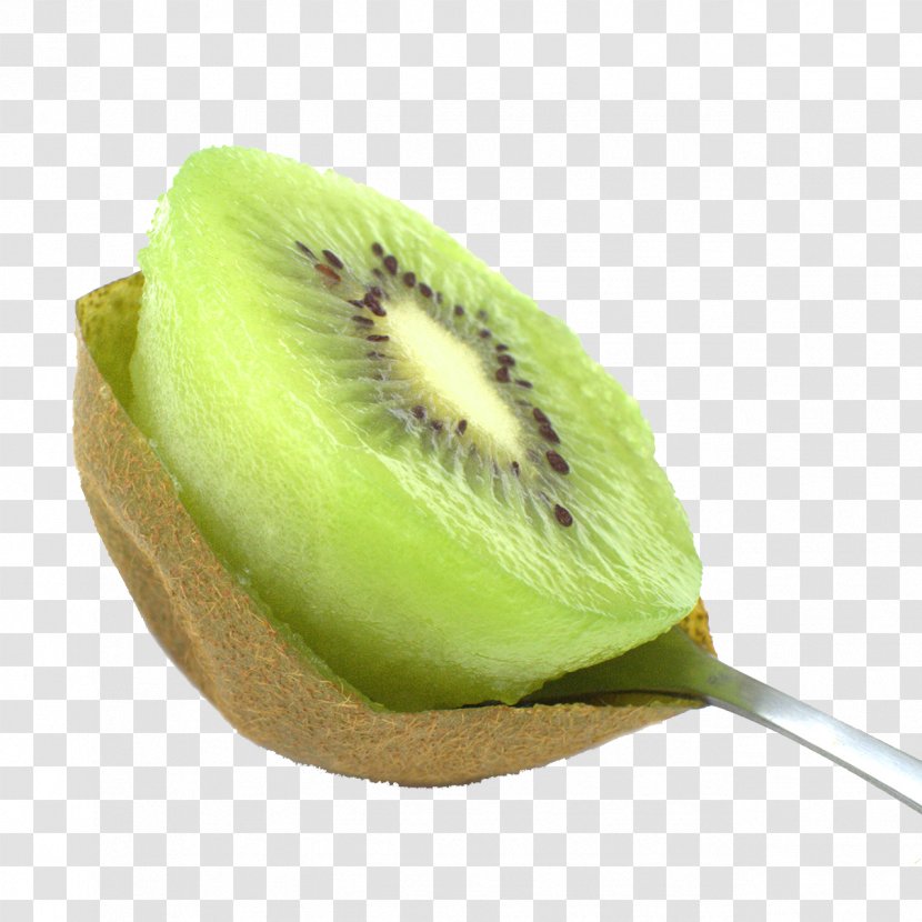 Kiwifruit Clip Art - Google Images - Kiwi Spoon Digging Transparent PNG