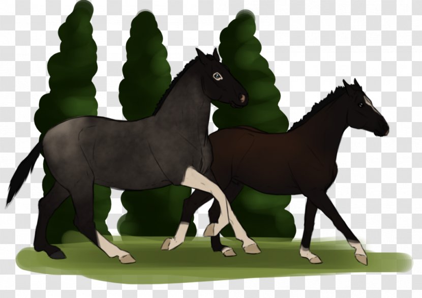 Mane Foal Mustang Stallion Colt - Imperial Family Transparent PNG