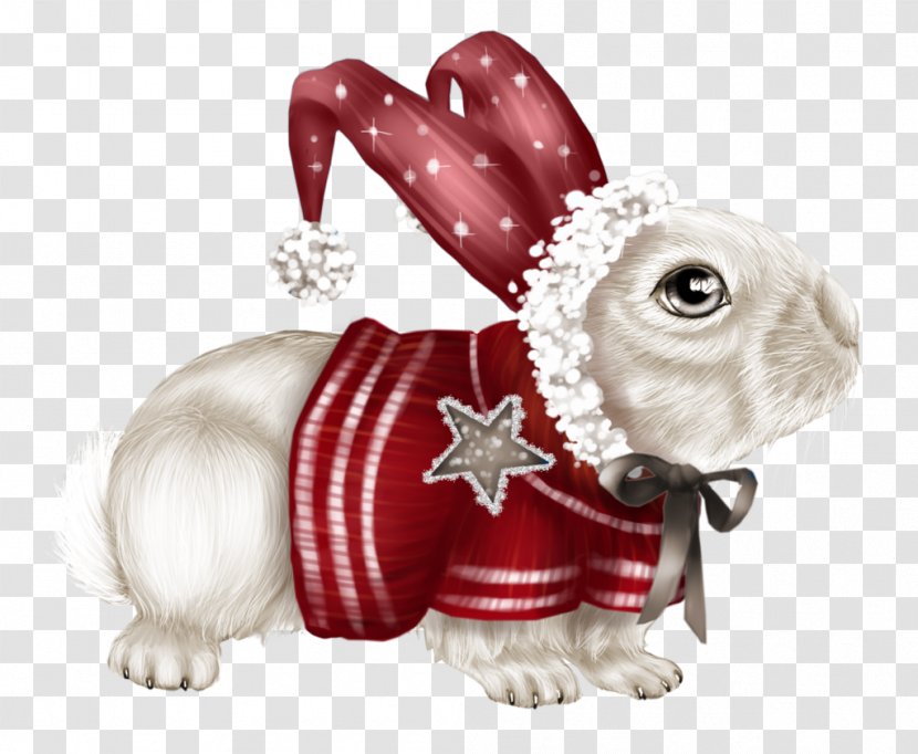 Domestic Rabbit Hare Dog Diary LiveInternet - Mammal Transparent PNG