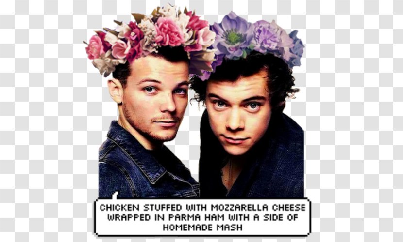 Harry Styles Louis Tomlinson One Direction Bromance Shipping - Flower Transparent PNG