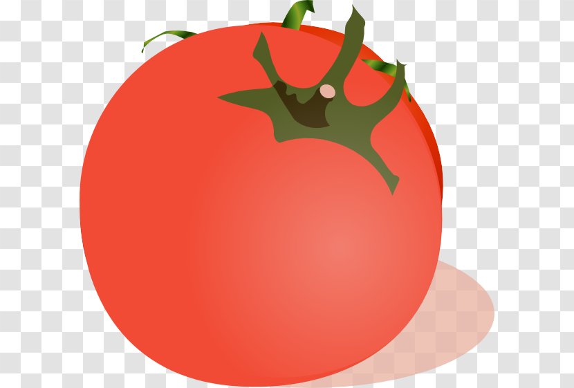 Tomato Marinara Sauce Vegetable Clip Art - Fried Green Tomatoes Transparent PNG