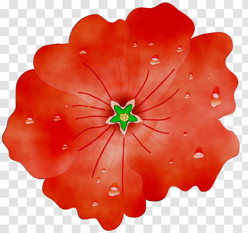 RED.M - Red - Geranium Transparent PNG
