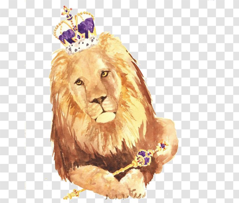 Lion Watercolor Painting - Big Cats - The King Transparent PNG