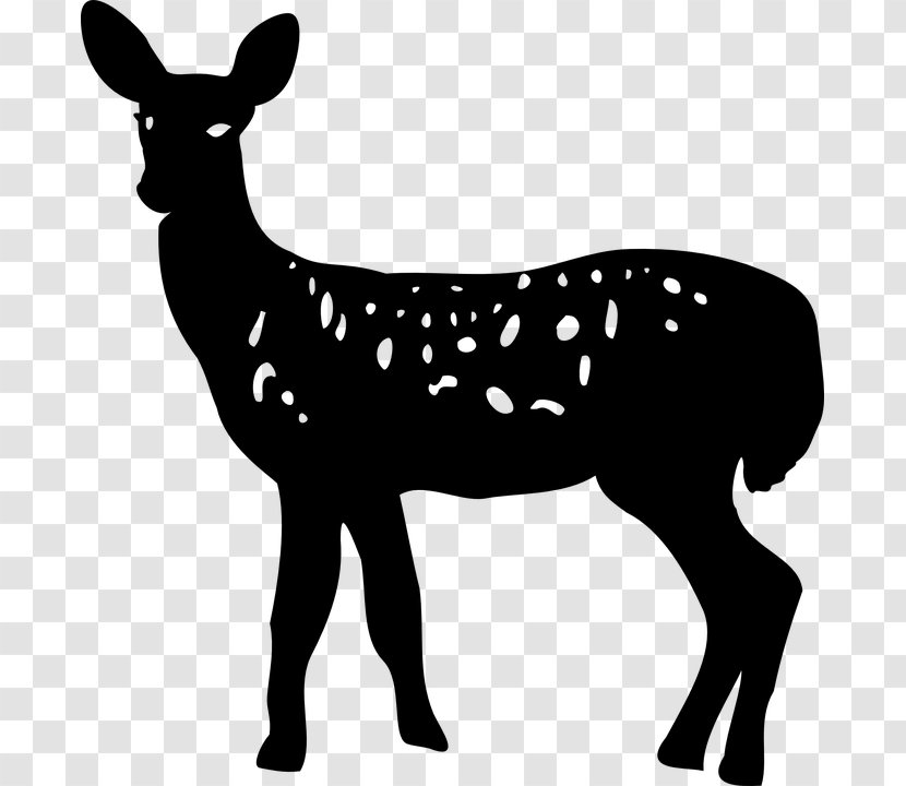 White-tailed Deer Silhouette Clip Art - Mule Transparent PNG