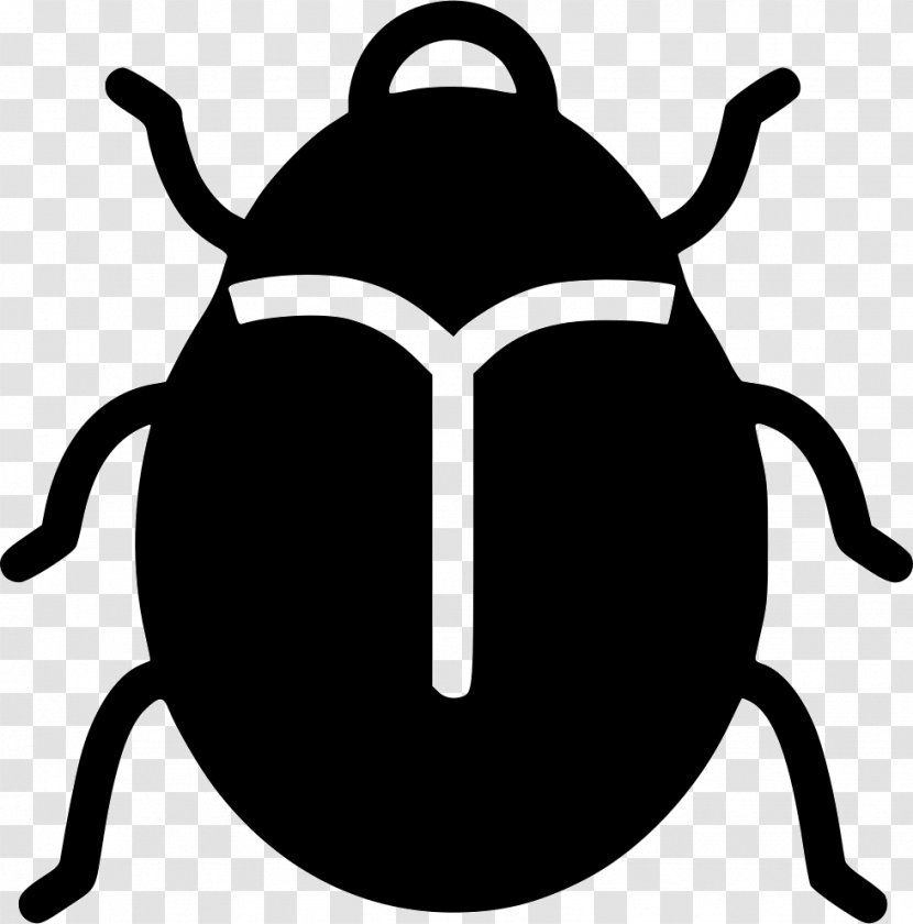 Insect Drawing - Invertebrate Transparent PNG