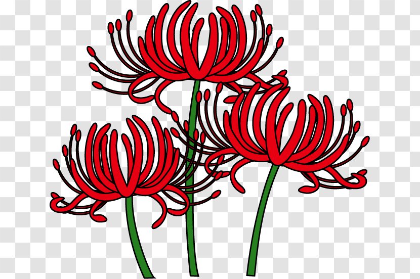 Red Spider Lily Higan Lycorine Clip Art - Season - Mid-autumn Festival Yi Labao Transparent PNG