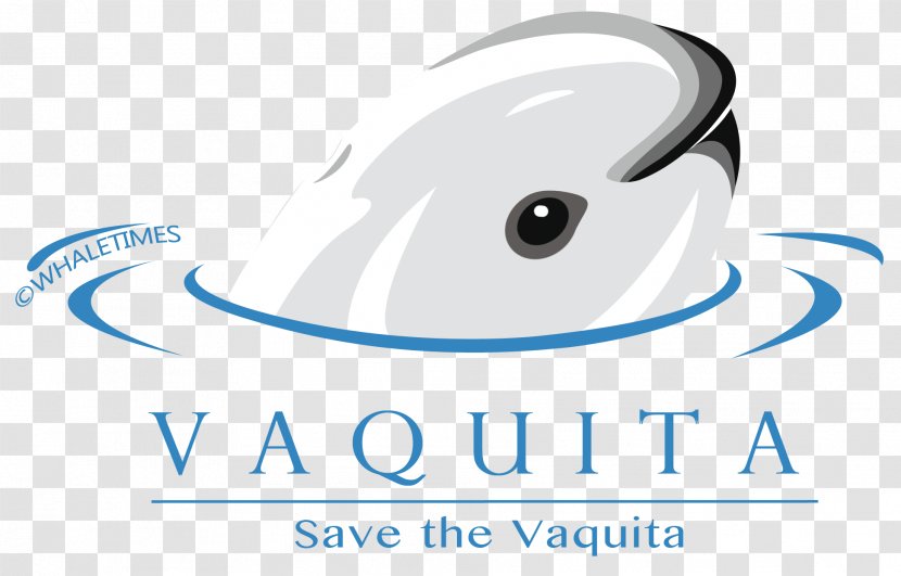 The Vaquita: Biology Of An Endangered Porpoise Species Logo - Animal - Oregon Coast Aquarium Transparent PNG
