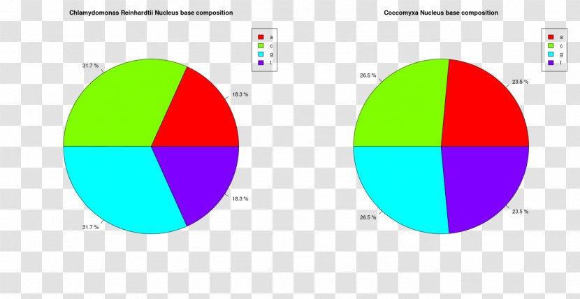 Graphic Design Diagram Circle Brand Transparent PNG