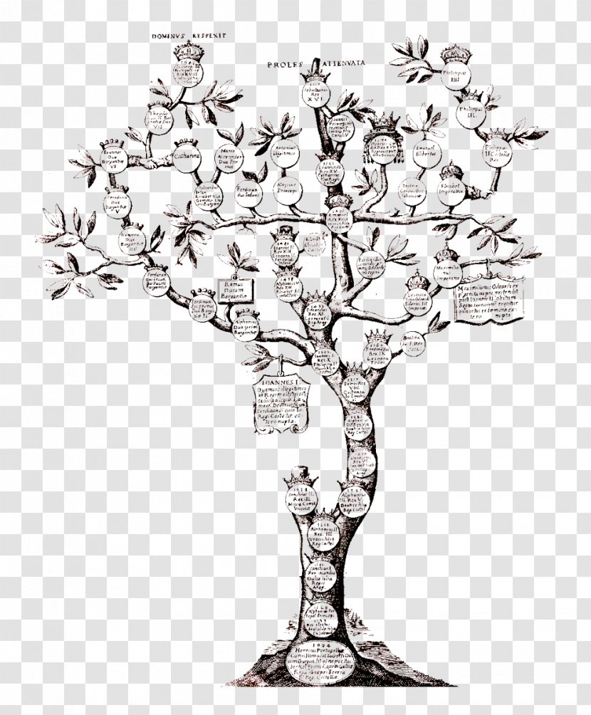 Family Tree Genealogy Surname Kinship - Branch Transparent PNG