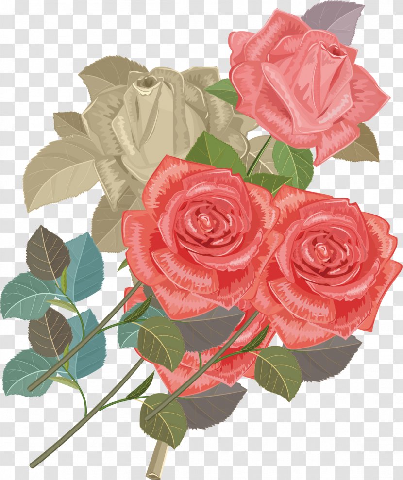 Garden Roses Centifolia Beach Rose Flower Bouquet - Creative Transparent PNG