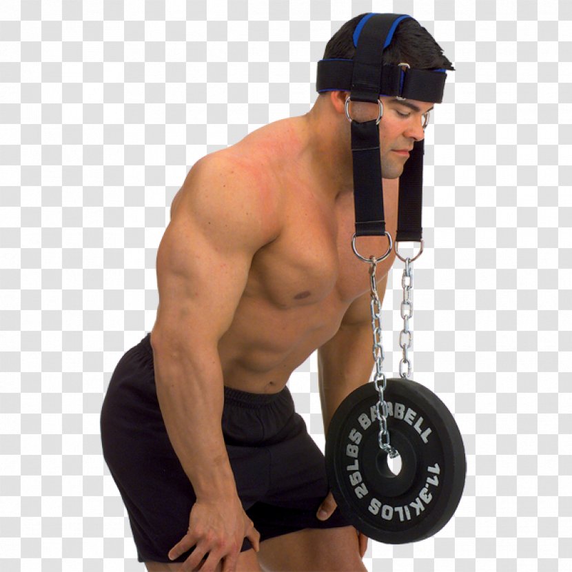 Physical Exercise Strength Training Neck Weight Fitness Centre - Cartoon - Boxing Transparent PNG