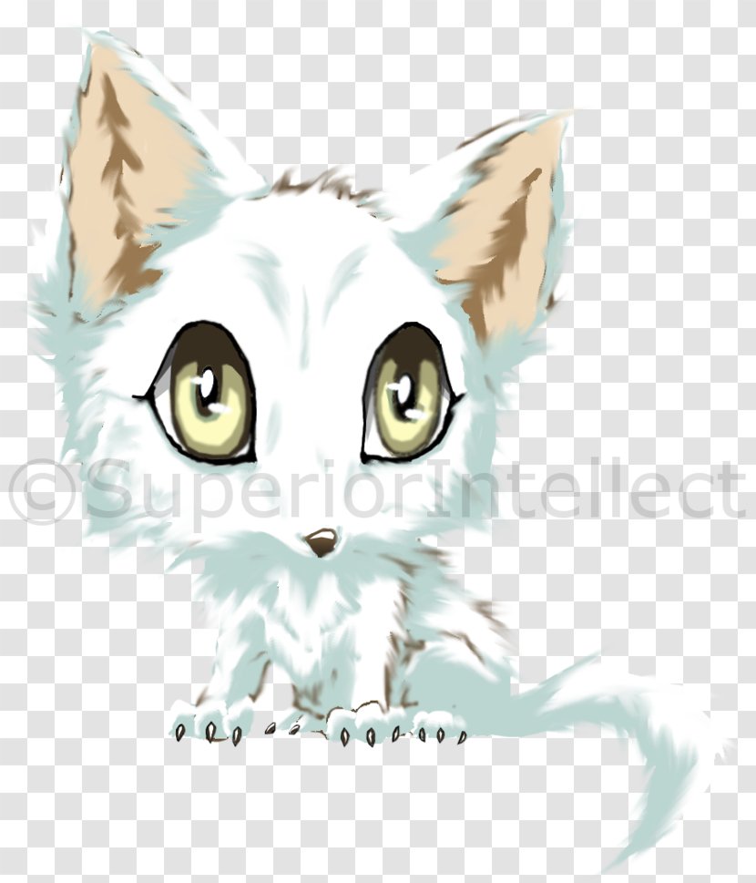 Whiskers Drawing Illustration Cat Cartoon - Character - Arctic Fox Pet Transparent PNG