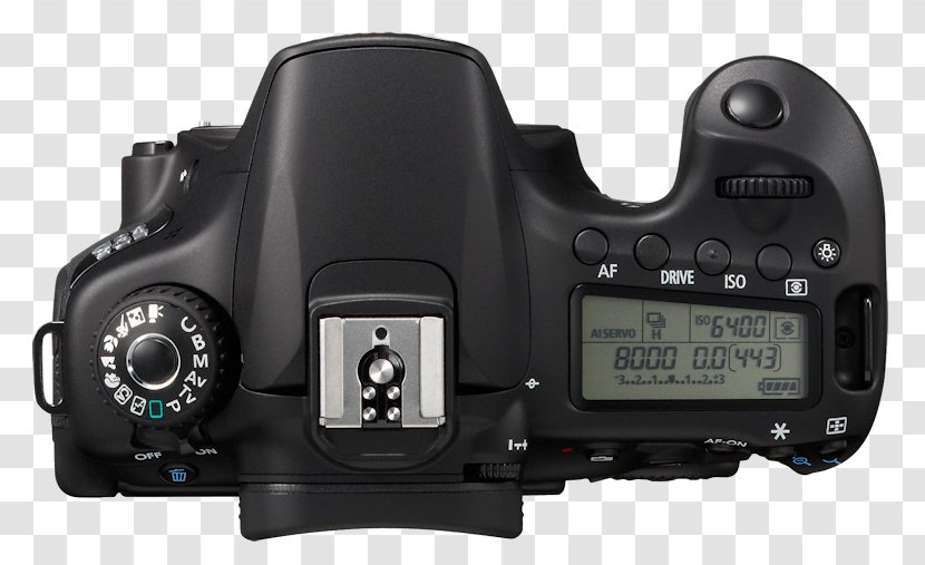 Canon EOS 60D 800D 80D 70D Digital SLR - Hardware - Full Hd Lcd Screen Transparent PNG
