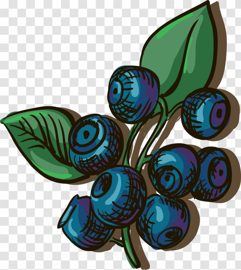 Blueberry Adobe Illustrator Illustration - Pollinator - Vector Painted Transparent PNG