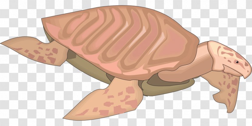 Tortoise Sea Turtle Archelon Reptile - Silhouette - 咖啡海报图片素材 Transparent PNG