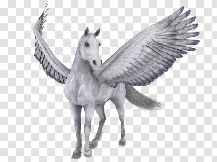 Horse PhotoScape Pegasus Clip Art - White Transparent PNG