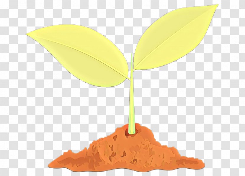 Orange - Woody Plant - Maidenhair Tree Soil Transparent PNG