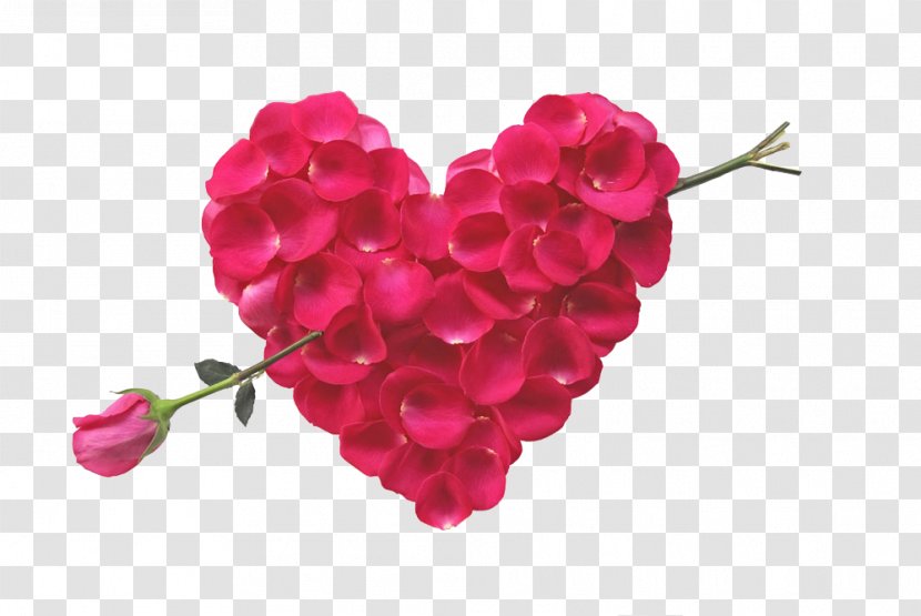 Flower Bouquet Rose Heart Petal - Flowering Plant - Stone Mandrel Transparent PNG