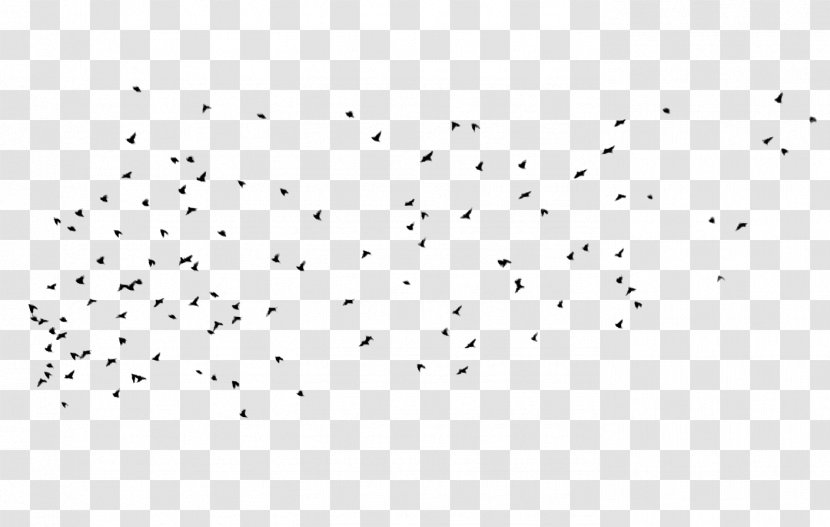 Bird Flock Image Editing - Pigeon Transparent PNG