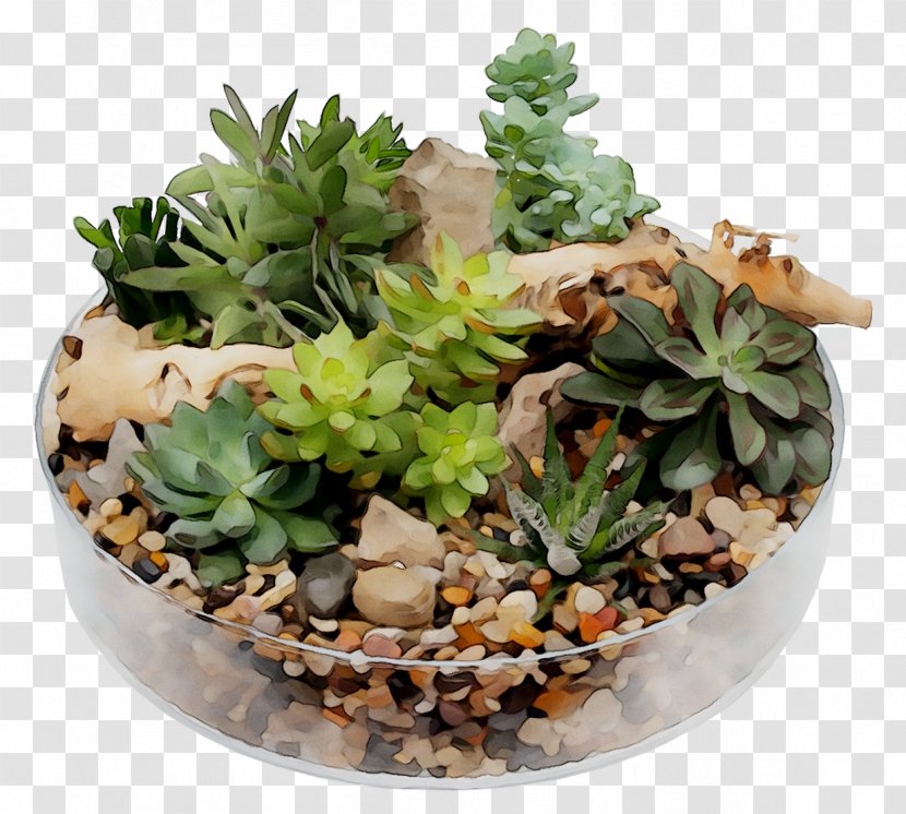 Houseplant Flowerpot - Plant - Herb Transparent PNG
