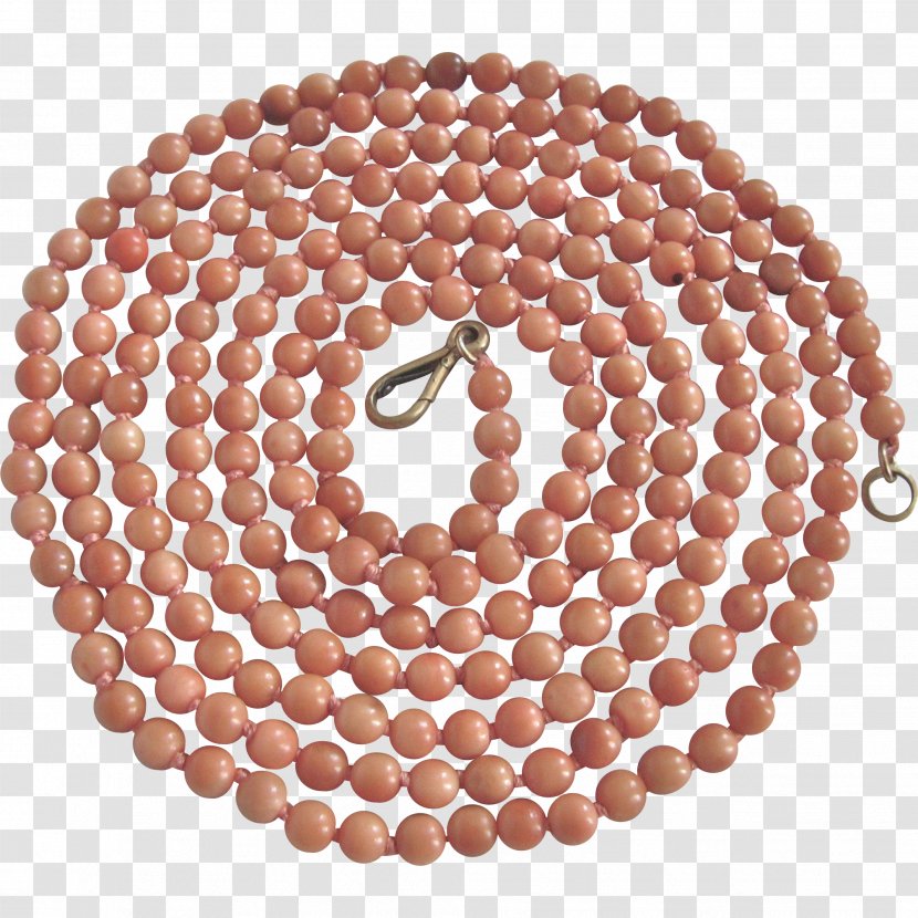 Jewellery Pearl Necklace Conch Transparent PNG