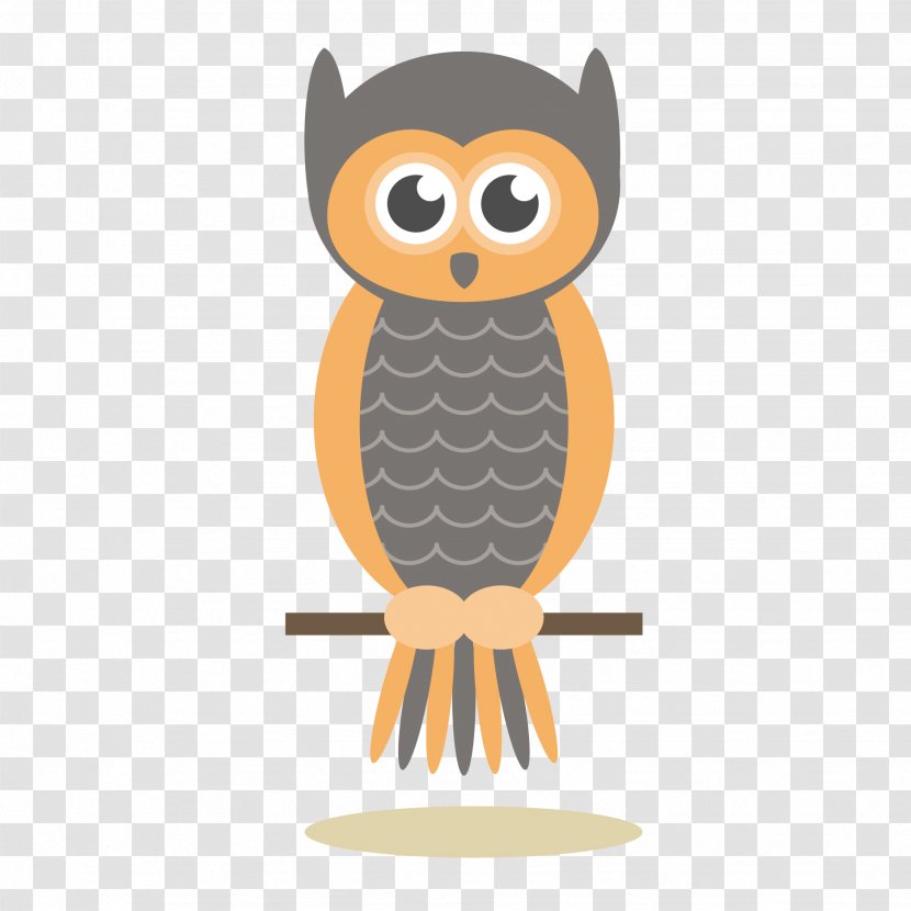 Owl Cartoon Drawing Illustration - Bird - Vector Transparent PNG