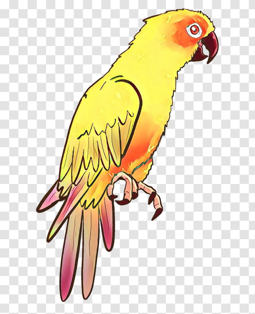 Macaw Lovebird Parakeet Clip Art Beak - Parrot - Bird Toy Transparent PNG