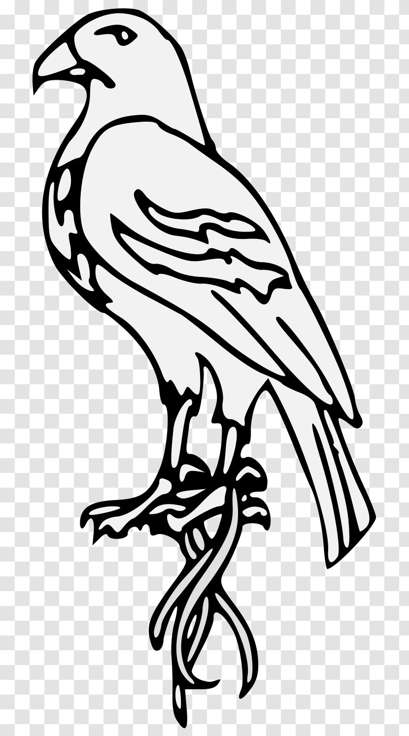 Chicken Clip Art 11 Birds - Falcon - Posture Badge Transparent PNG
