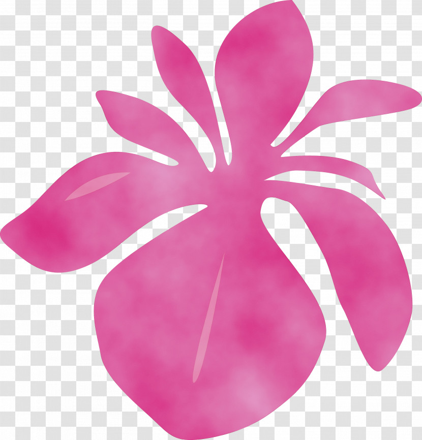 Pink Petal Magenta Violet Plant Transparent PNG