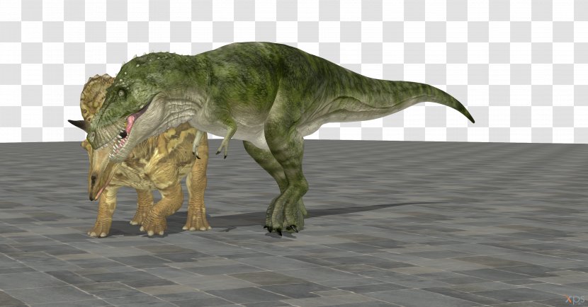 Tyrannosaurus Spinosaurus Austroraptor Torosaurus Velociraptor - Organism - T Rex Transparent PNG