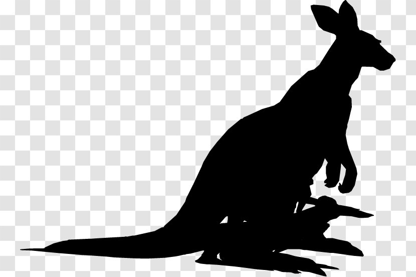 Kangaroo Dog Clip Art Mammal Fauna - Silhouette Transparent PNG