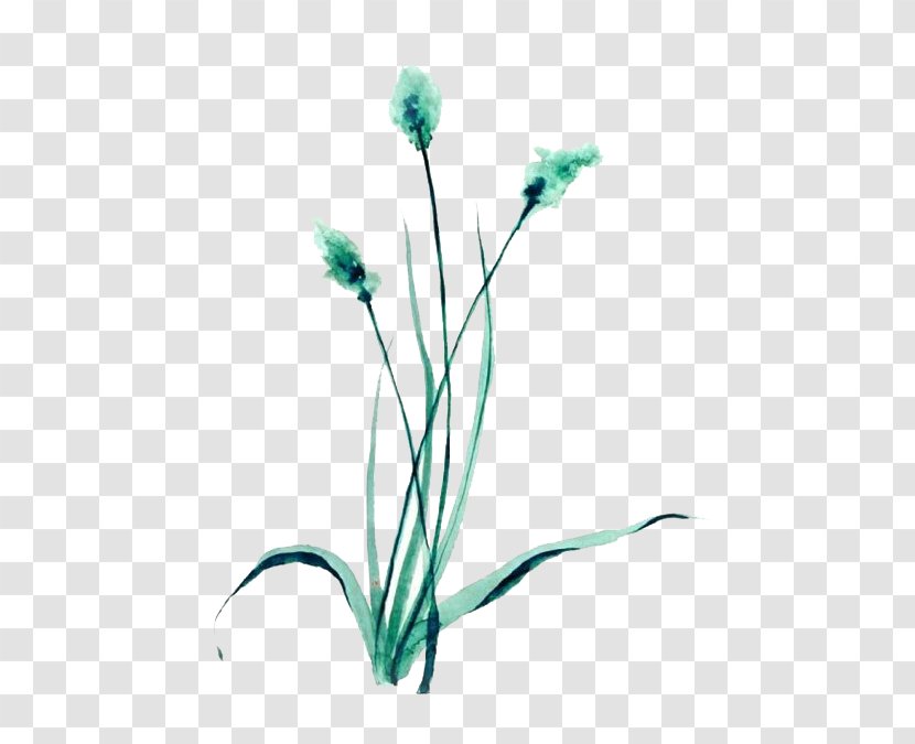 Floral Design Green - Leaf - Grass Transparent PNG