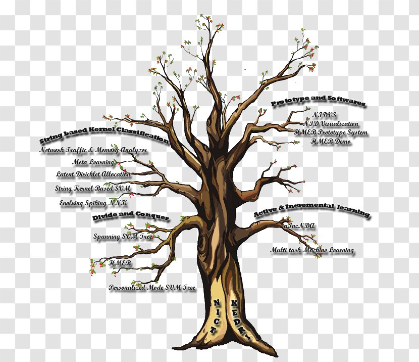 Contemplative Practices In Action Mindfulness Spiritual Practice Contemplation Tree - Spirituality - Kernel Transparent PNG