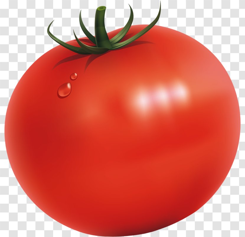 Plum Tomato Bush Food U852cu679c Transparent PNG