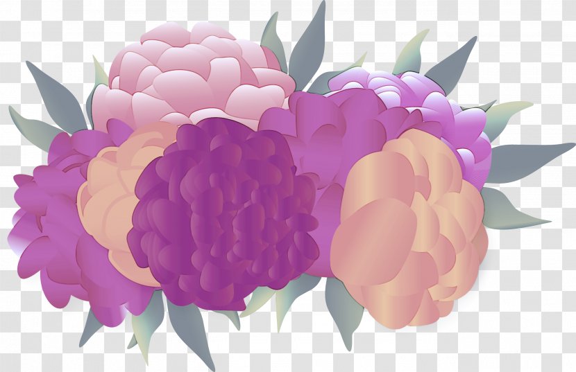 Flower Pink Petal Violet Purple - Plant - Cut Flowers Flowering Transparent PNG