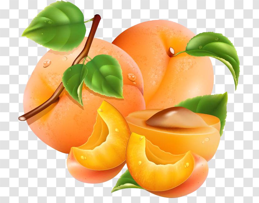 Apricot Auglis Peach Orange Vegetable - Apricots Pattern Transparent PNG