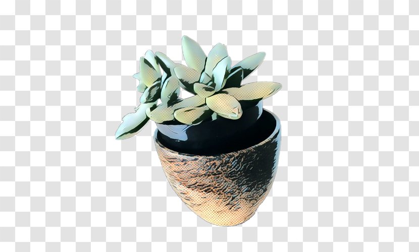 Flowerpot Flower Echeveria Plant Vase - Ceramic Houseplant Transparent PNG