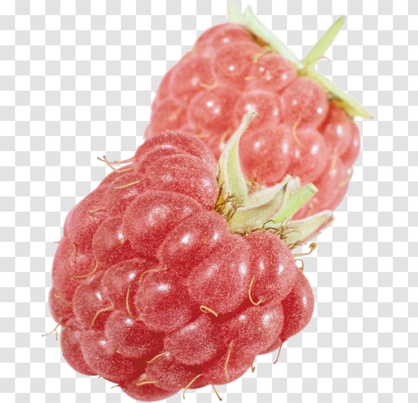 Raspberry Loganberry Strawberry Tayberry Fruit Transparent PNG