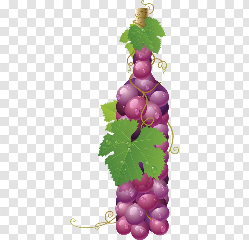 Common Grape Vine Wine Juice - Frutas Transparent PNG