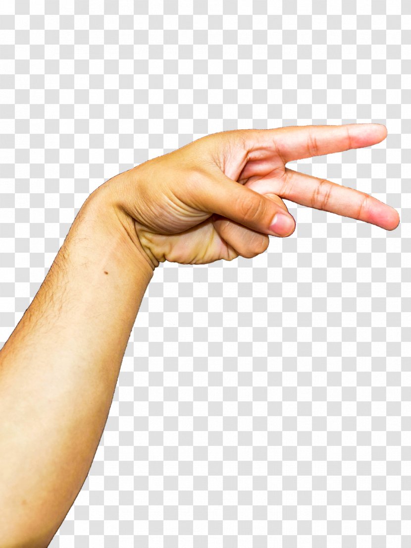 Arm Hand Finger - Fingers Transparent PNG