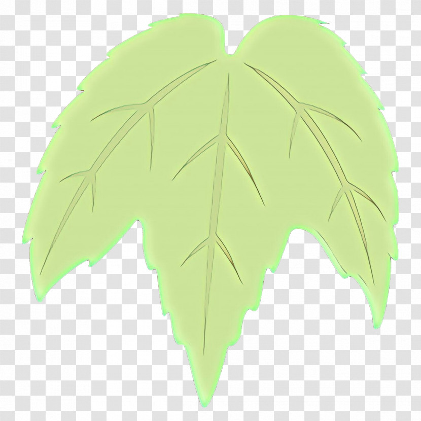 Leaf Green Wing Plant Tree Transparent PNG