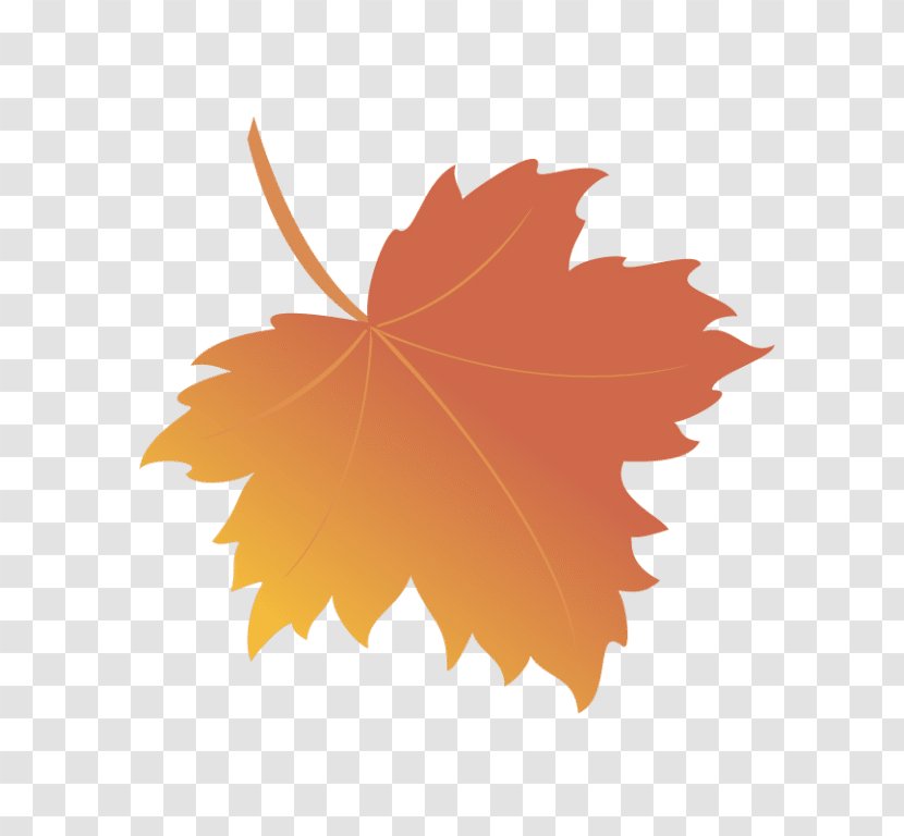 Maple Leaf Royalty-free - Autumn Color Transparent PNG