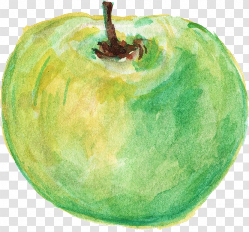 Apple Organic Food Watercolor Painting Fruit - Hand Painted Transparent PNG