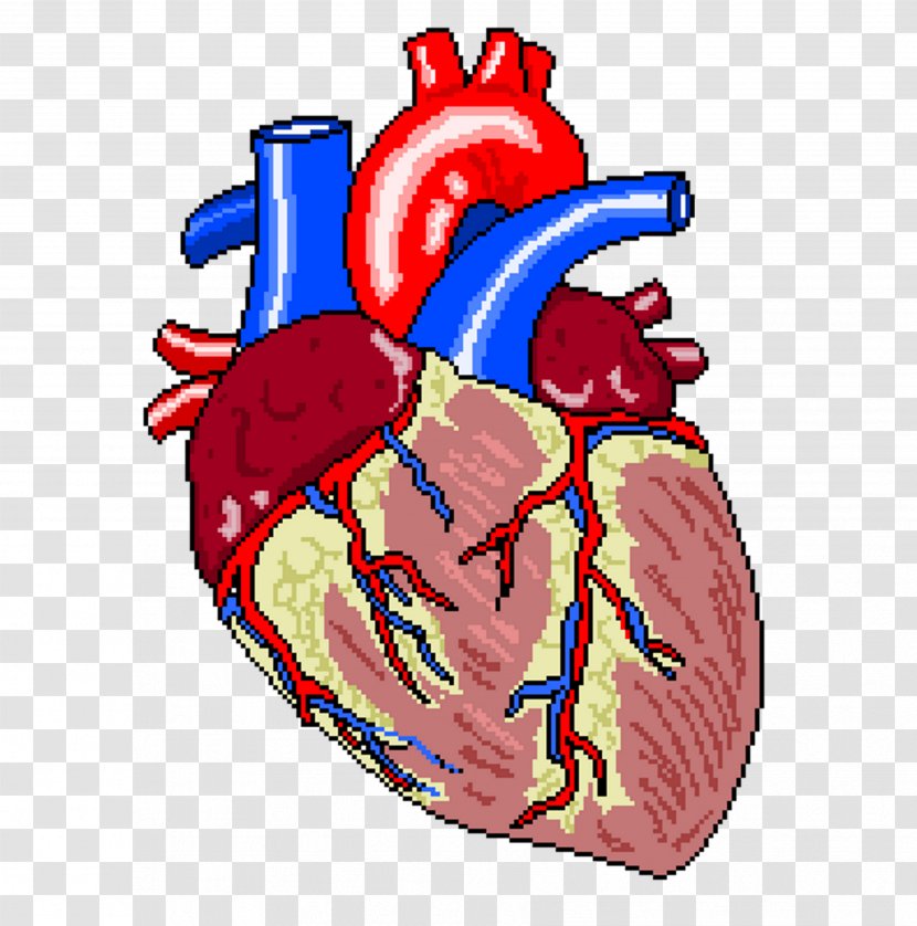 Heart Failure Coronary Artery Bypass Surgery Vascular Cardiology - Tree - Ecg Transparent PNG