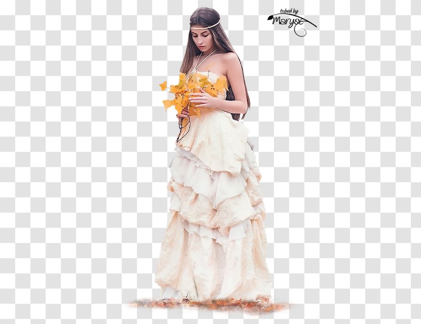 Psp Tubes PaintShop Pro Woman Wedding Dress - Frame - Autumn Transparent PNG