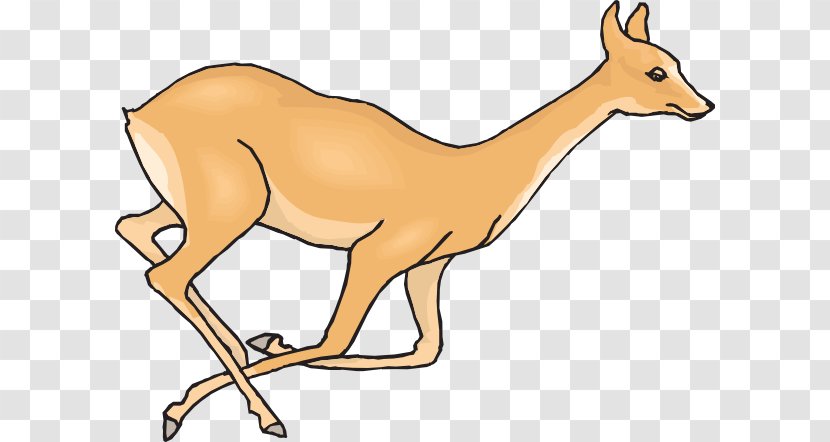 White-tailed Deer Clip Art - Scalable Vector Graphics - Run Transparent PNG