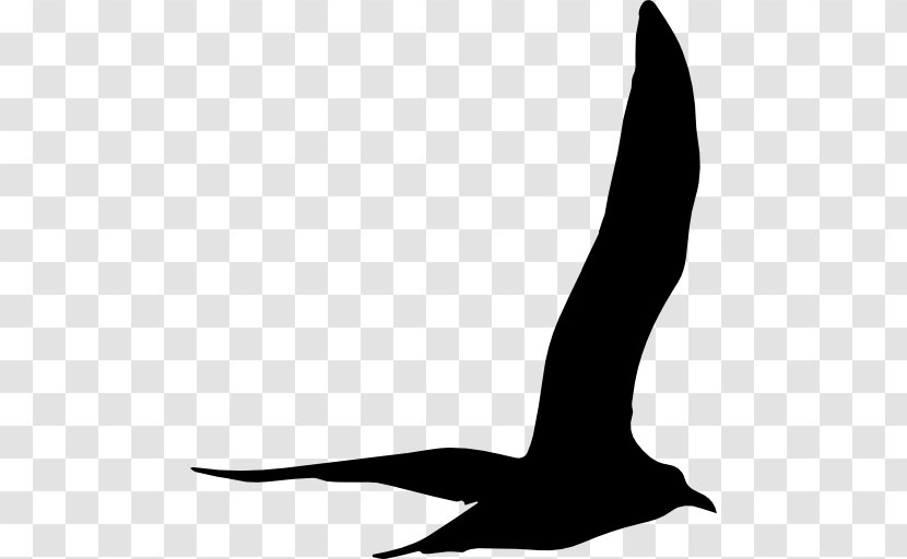 Black And White Beak Shoe Font Pattern - Gull Transparent PNG