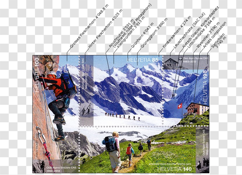 Finsteraarhorn Swiss Alpine Club Museum Ernen - Mountain - New Zealand Inc Transparent PNG